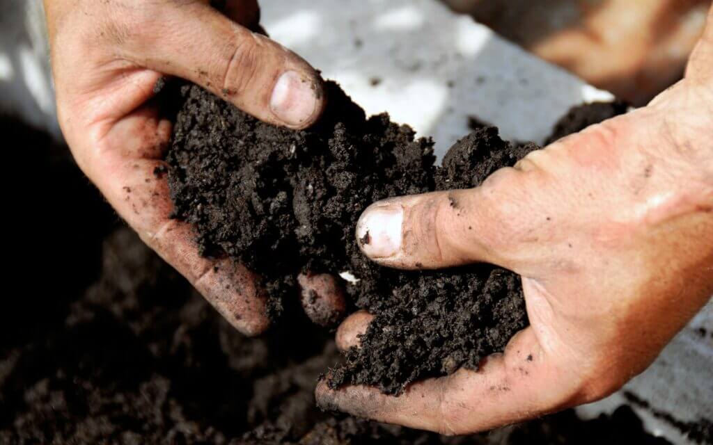 עלות יועץ קרקע